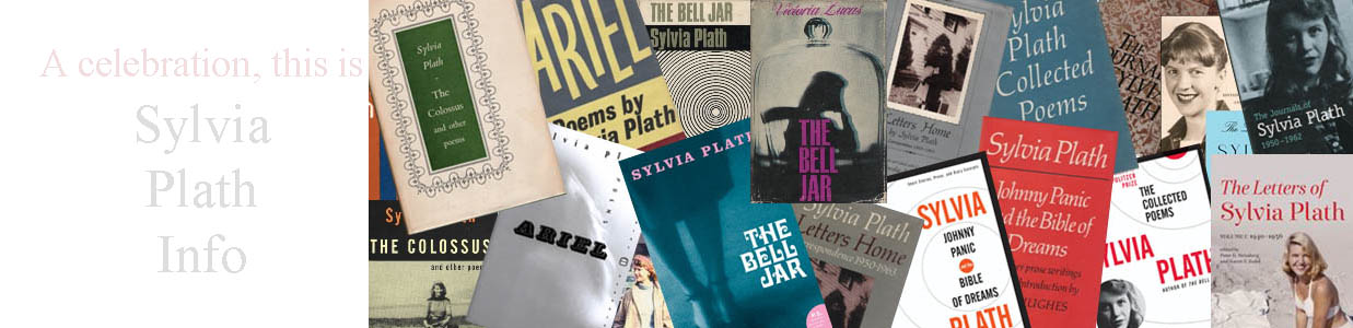 Sylvia Plath Info — book covers banner
